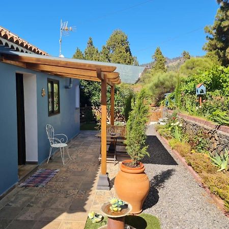 הוילה Puntagorda Casa Rosales With Pool & Wifi מראה חיצוני תמונה