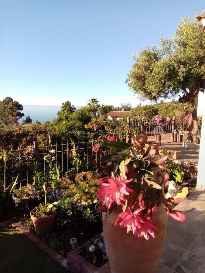 הוילה Puntagorda Casa Rosales With Pool & Wifi מראה חיצוני תמונה
