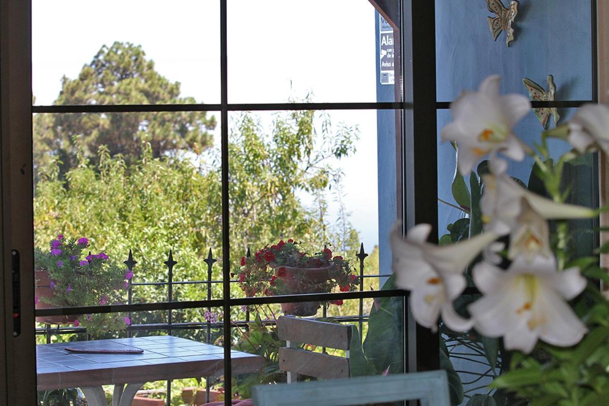 הוילה Puntagorda Casa Rosales With Pool & Wifi מראה חיצוני תמונה