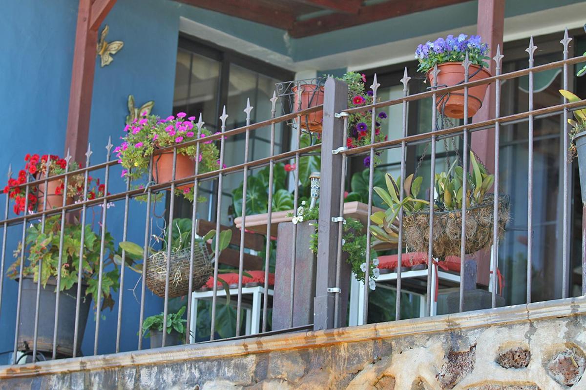 הוילה Puntagorda Casa Rosales With Pool & Wifi מראה חיצוני תמונה