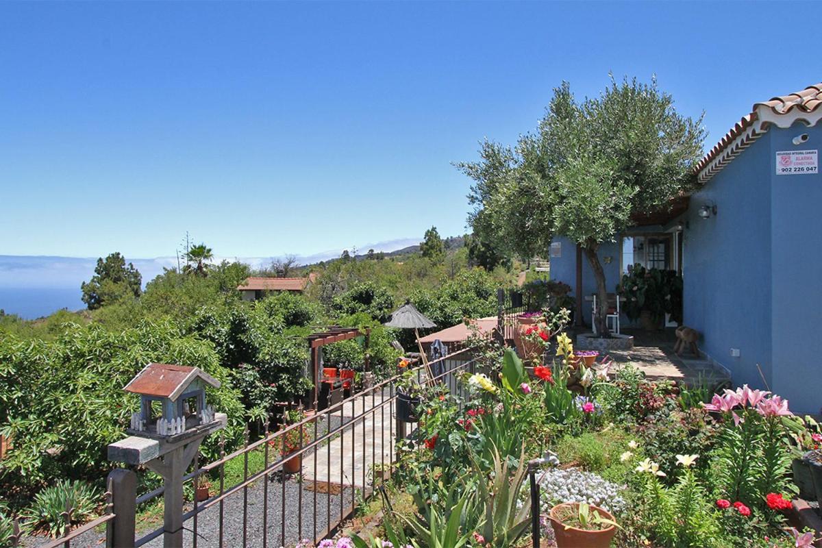 הוילה Puntagorda Casa Rosales With Pool & Wifi מראה חיצוני תמונה
