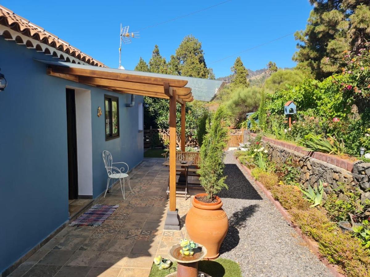 הוילה Puntagorda Casa Rosales With Pool & Wifi מראה חיצוני תמונה