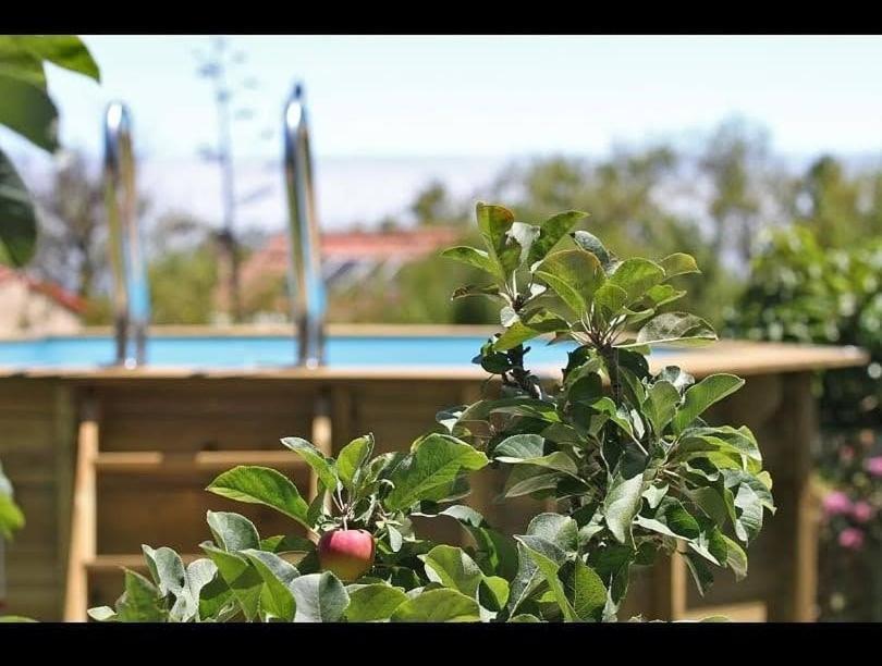 הוילה Puntagorda Casa Rosales With Pool & Wifi מראה חיצוני תמונה