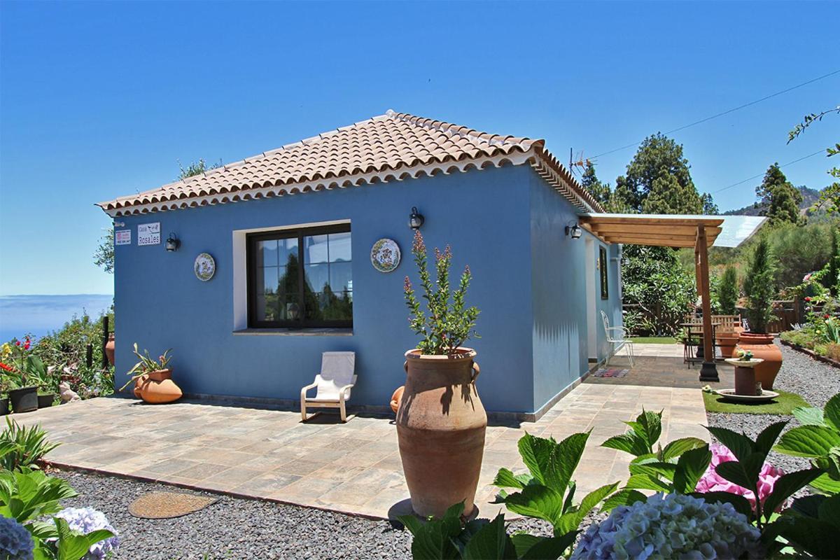 הוילה Puntagorda Casa Rosales With Pool & Wifi מראה חיצוני תמונה